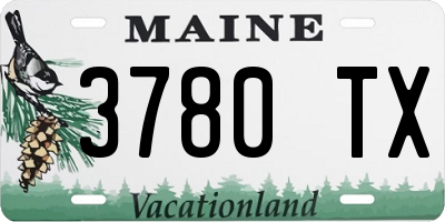 ME license plate 3780TX