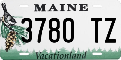 ME license plate 3780TZ