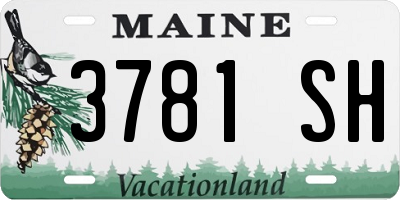 ME license plate 3781SH