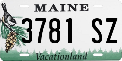 ME license plate 3781SZ