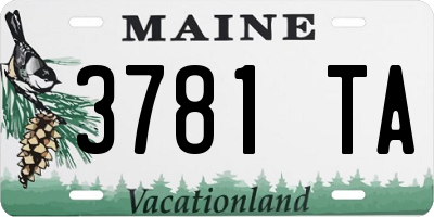 ME license plate 3781TA