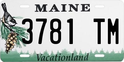 ME license plate 3781TM