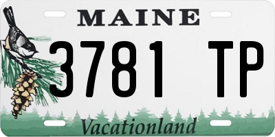ME license plate 3781TP