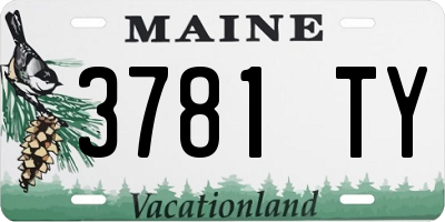 ME license plate 3781TY