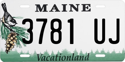 ME license plate 3781UJ