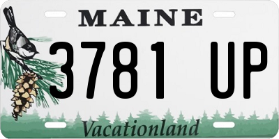 ME license plate 3781UP