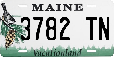 ME license plate 3782TN