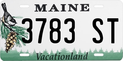 ME license plate 3783ST