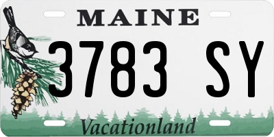 ME license plate 3783SY