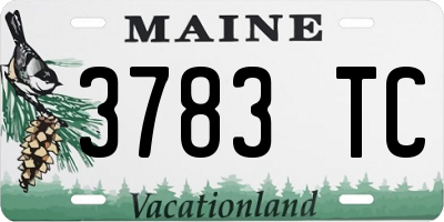 ME license plate 3783TC