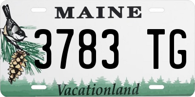 ME license plate 3783TG