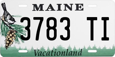 ME license plate 3783TI