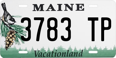 ME license plate 3783TP
