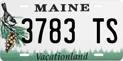 ME license plate 3783TS