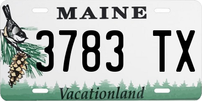 ME license plate 3783TX