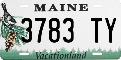 ME license plate 3783TY