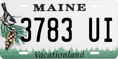 ME license plate 3783UI