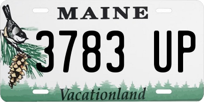 ME license plate 3783UP