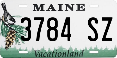 ME license plate 3784SZ