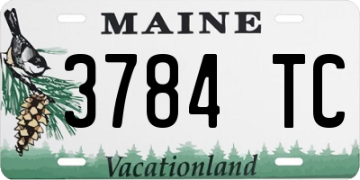 ME license plate 3784TC