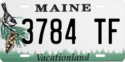 ME license plate 3784TF