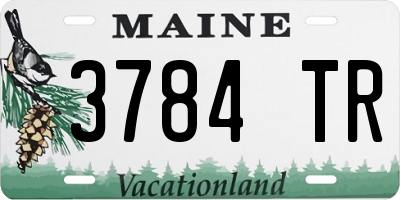 ME license plate 3784TR