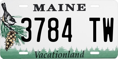 ME license plate 3784TW