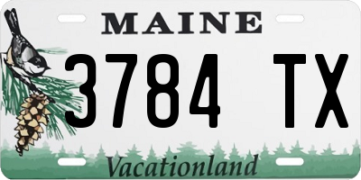 ME license plate 3784TX
