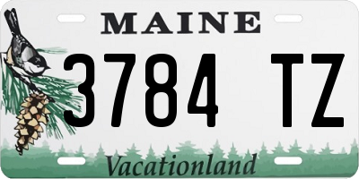 ME license plate 3784TZ