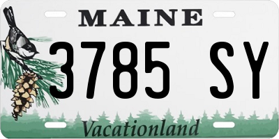 ME license plate 3785SY