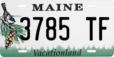 ME license plate 3785TF