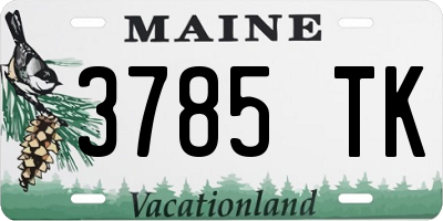 ME license plate 3785TK
