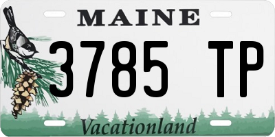 ME license plate 3785TP