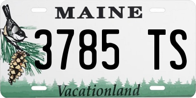 ME license plate 3785TS