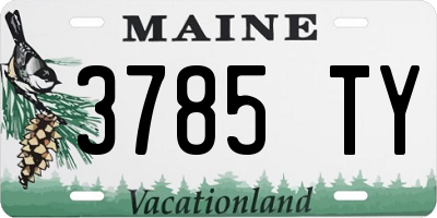 ME license plate 3785TY