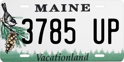 ME license plate 3785UP