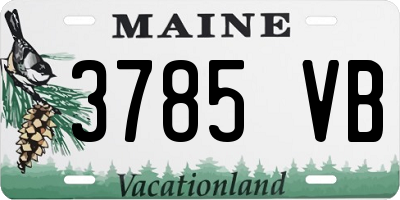 ME license plate 3785VB