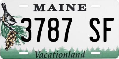 ME license plate 3787SF