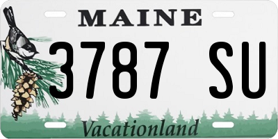 ME license plate 3787SU
