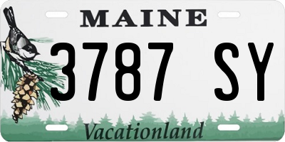 ME license plate 3787SY