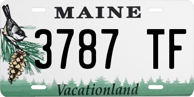 ME license plate 3787TF