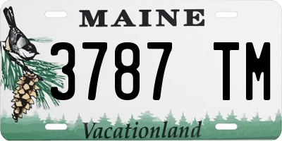 ME license plate 3787TM