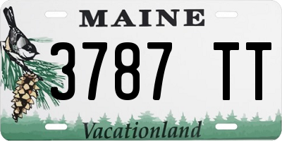 ME license plate 3787TT