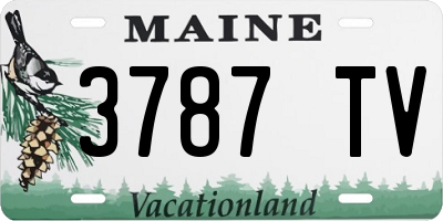 ME license plate 3787TV