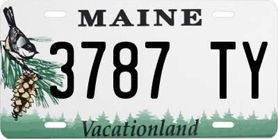 ME license plate 3787TY