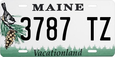 ME license plate 3787TZ