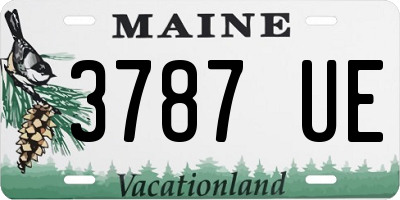 ME license plate 3787UE