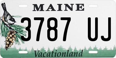 ME license plate 3787UJ