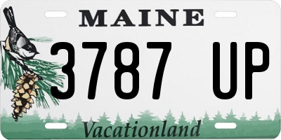 ME license plate 3787UP