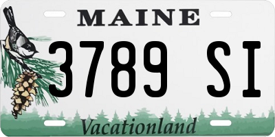 ME license plate 3789SI